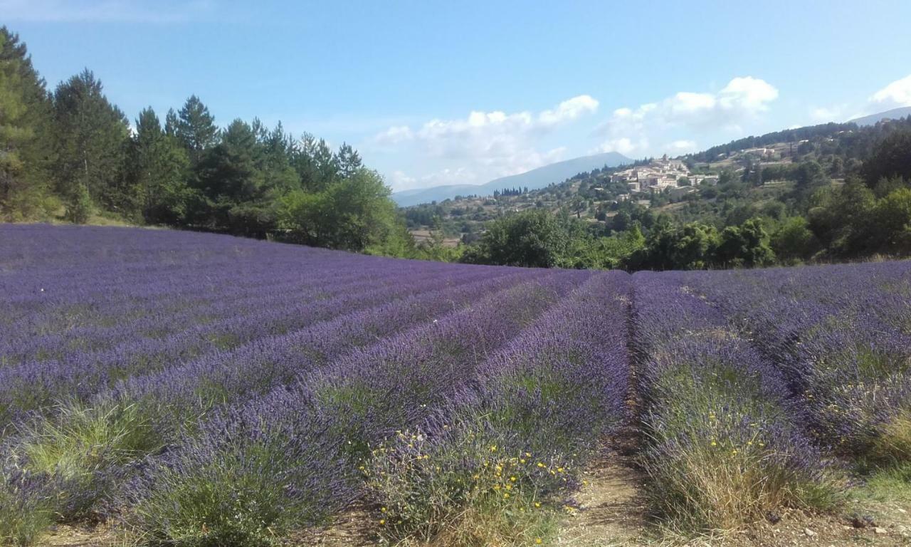 ホテル Le Petit Ventoux Malaucène エクステリア 写真